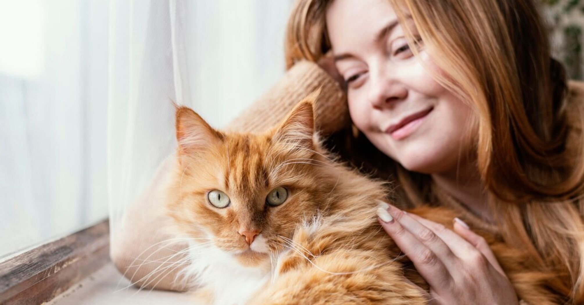 Having a cat at home can double the risk of schizophrenia