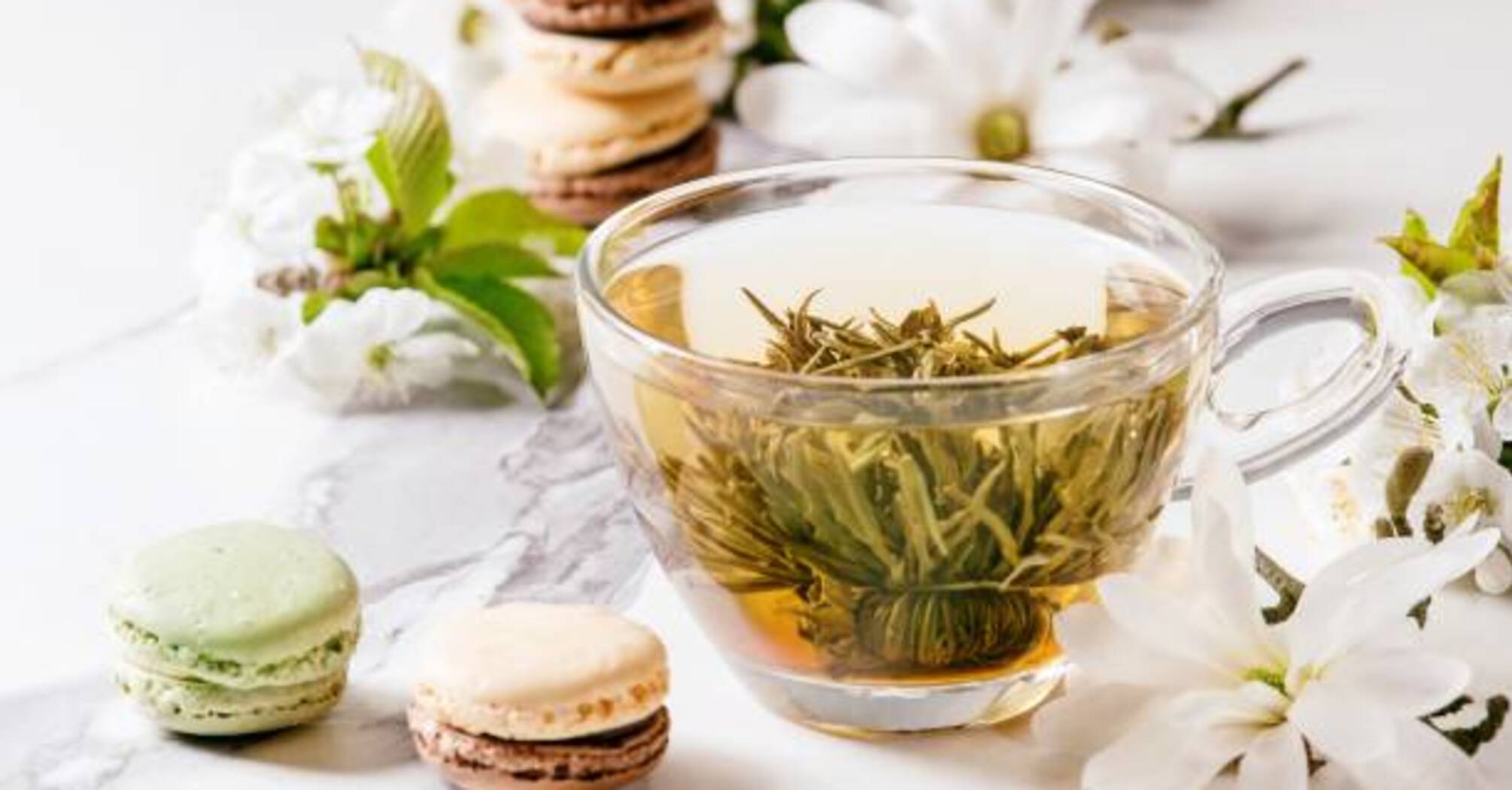 Green tea: how healthy is it? Nutritionists disagree