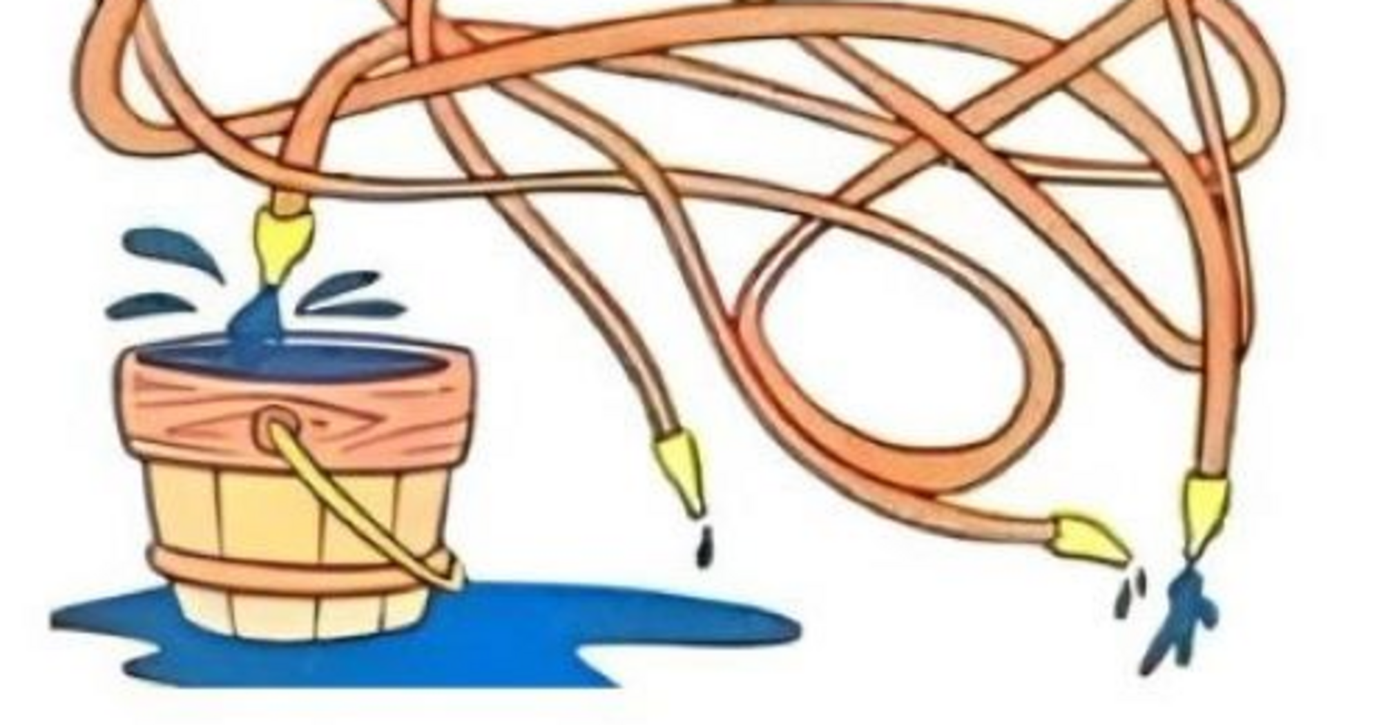 Which hose fills the bucket? A puzzle that the smartest will solve at a glance