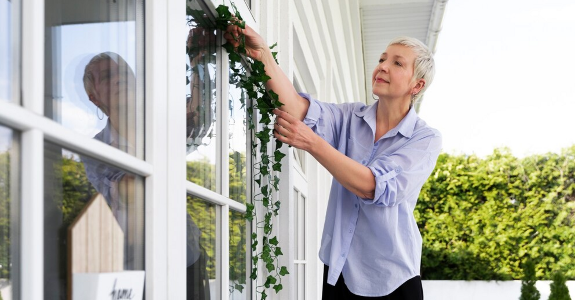 How to clean mosquito window nets: simple instructions