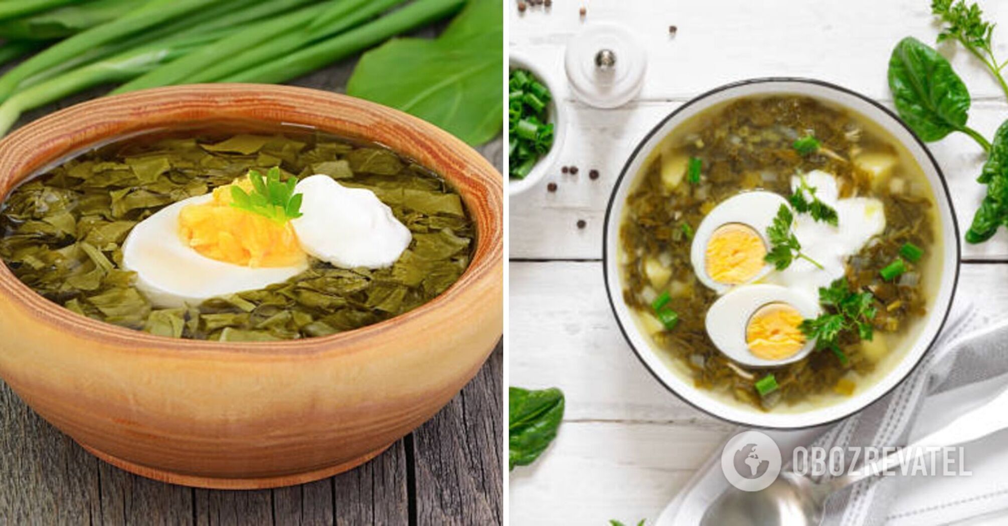 The most delicious green borscht with sorrel for a quick and hearty lunch