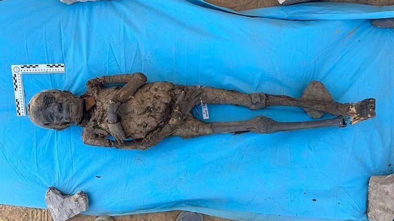 A "City of the Dead" with more than 300 tombs was discovered in Egypt: entire mummified families. Photo.