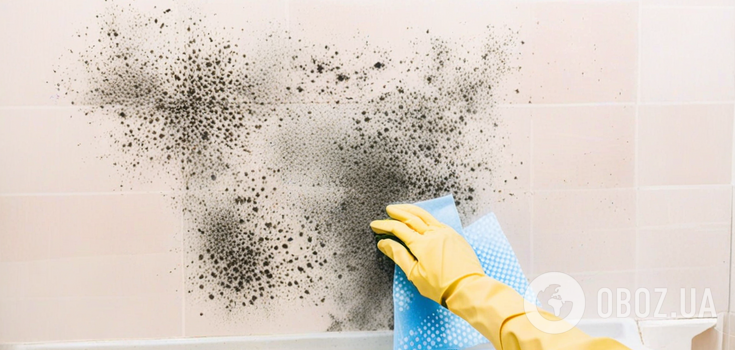 How to get rid of the smell of mustiness and dampness in the basement: a home method