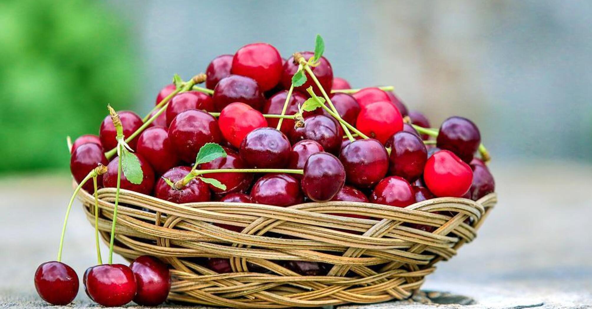 Sugar-free and seedless cherries: How to usefully preserve cherries for winter