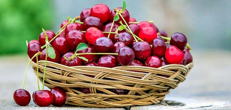 Sugar-free and seedless cherries: How to usefully preserve cherries for winter