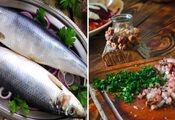 Fish that contains all the necessary substances for the body