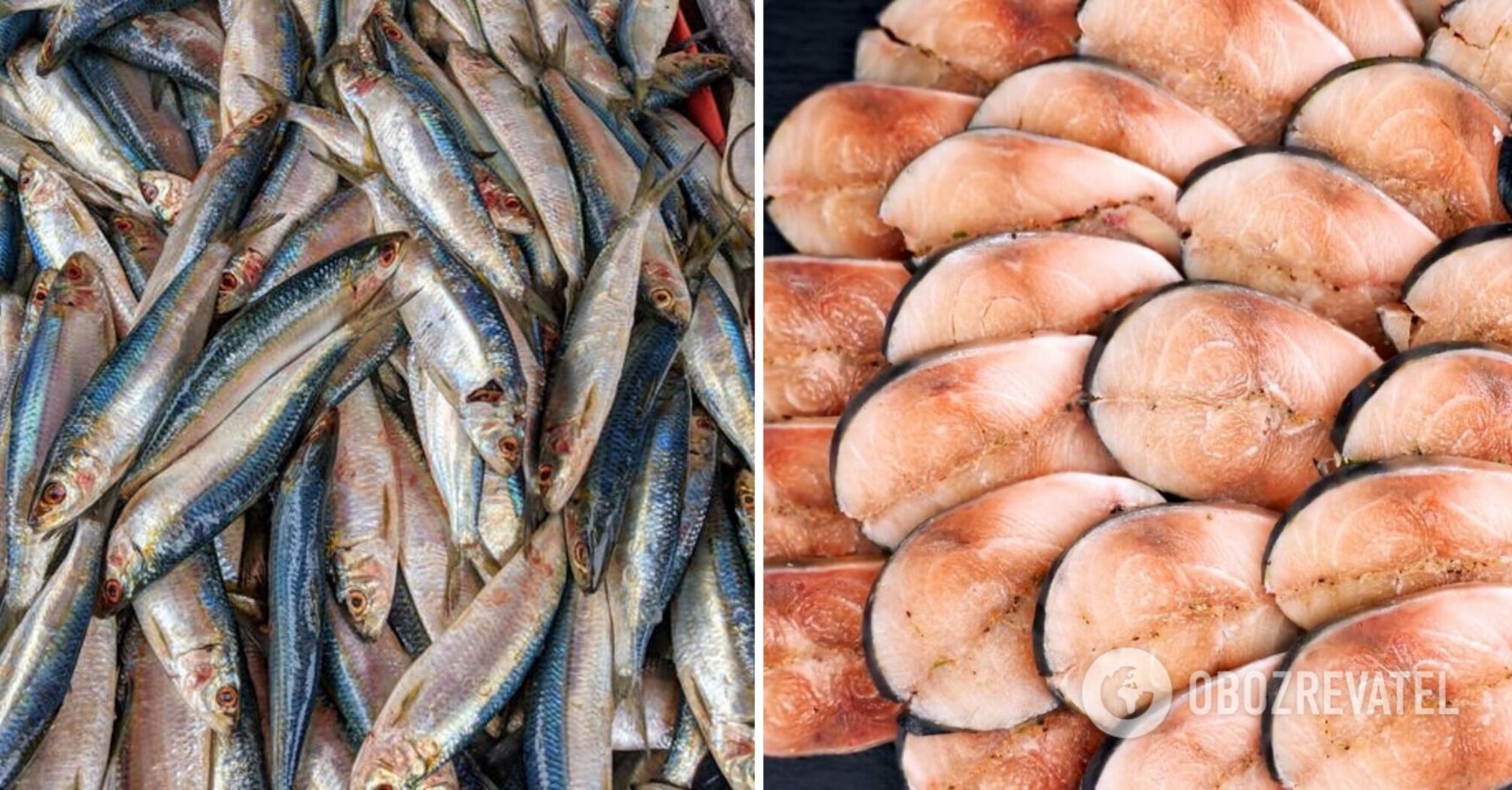 The best way to salt mackerel is named: what you will need