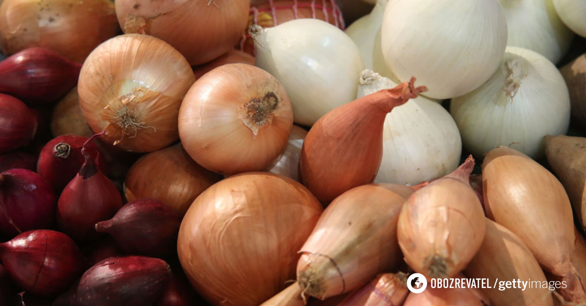 Why you need to eat onions every day: 7 reasons are named