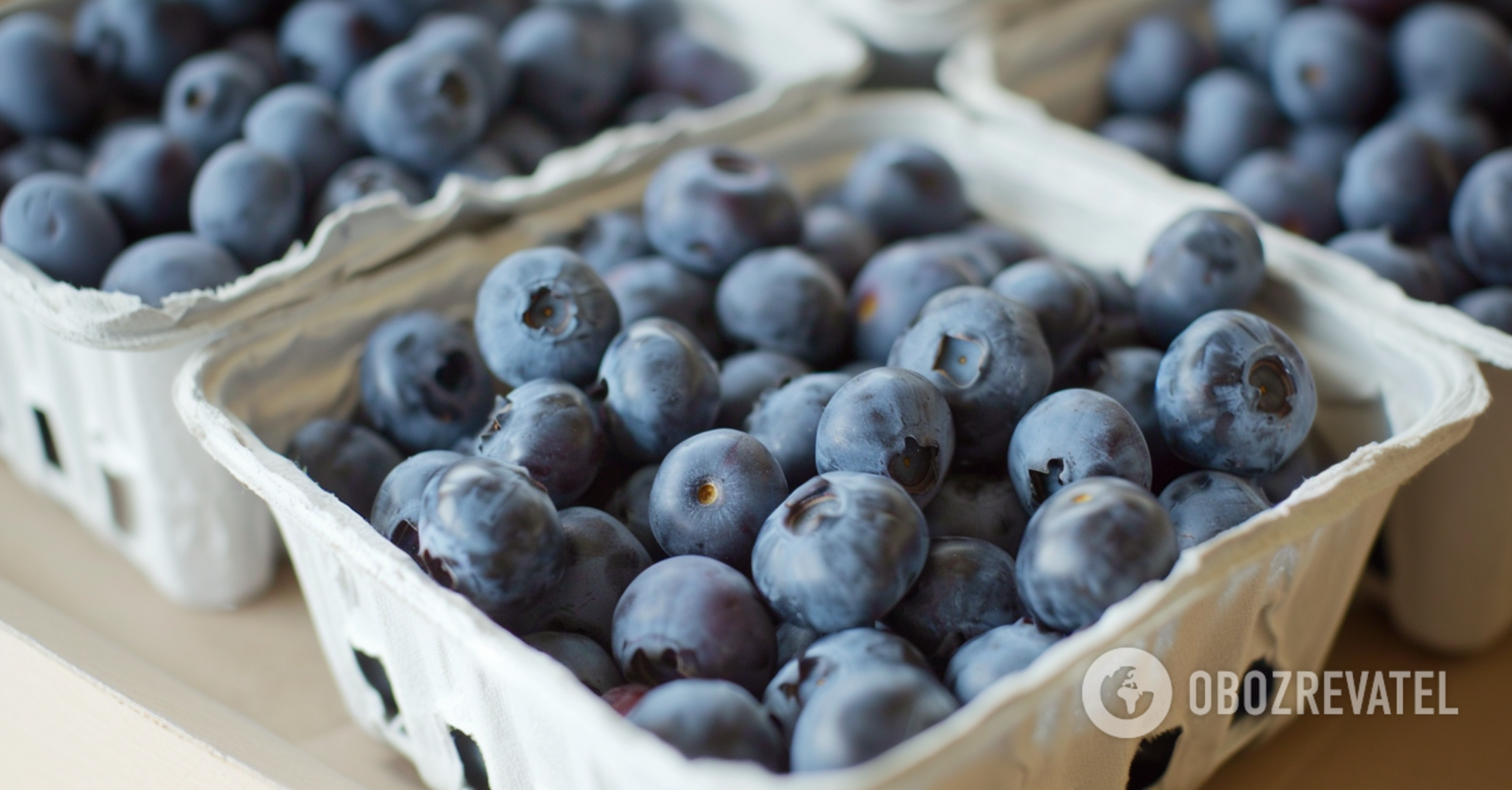 How to grow blueberries at home: where to plant and how to prepare the soil