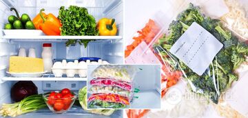 How to properly store food in the refrigerator and freeze