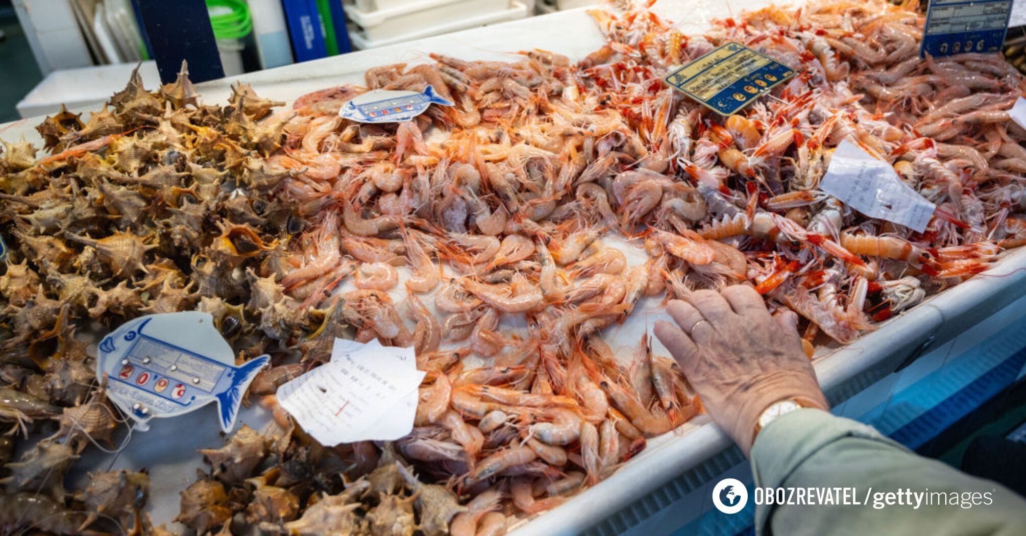 Scientists name seafood with the biggest amount of microplastics: forget about shrimp