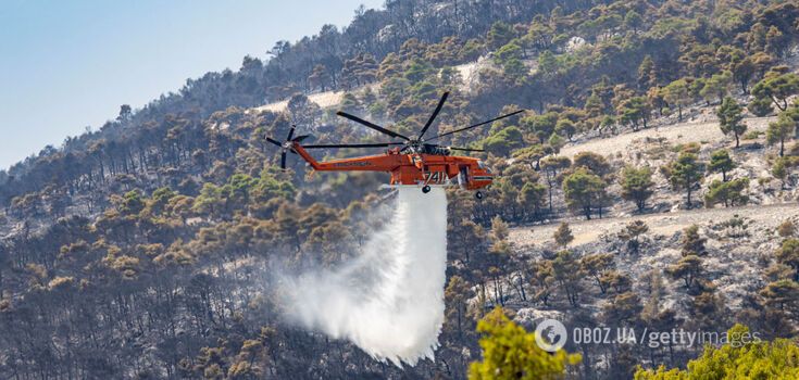 2024 was the hottest year on record: several climate records were broken