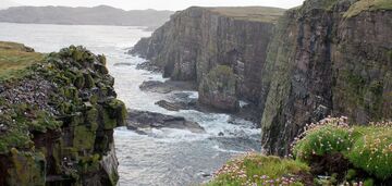 Jaki rodzaj pracy jest oferowany