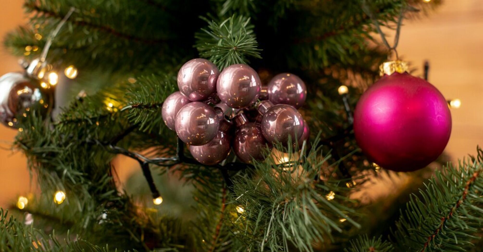 What to do with your Christmas tree after the holidays: three eco-friendly tips