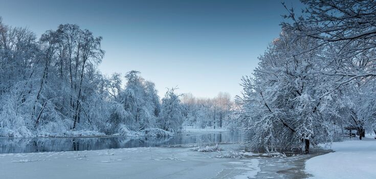 What holiday is celebrated on January 12 in Ukraine: everything about this day
