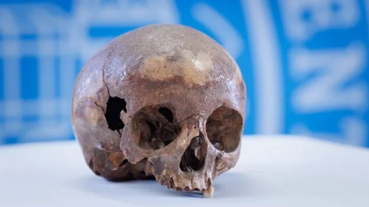 It was an 11-year-old boy: scientists have revealed the secret of Cleopatra's sister's skull. Photo