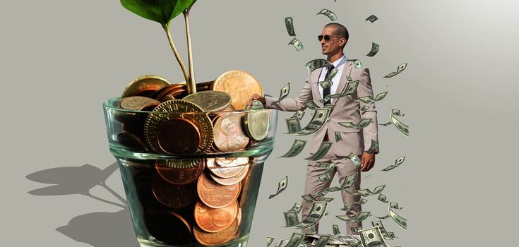 Money will not dissapear in the house: 5 indoor plants that improve the material well-being of owners