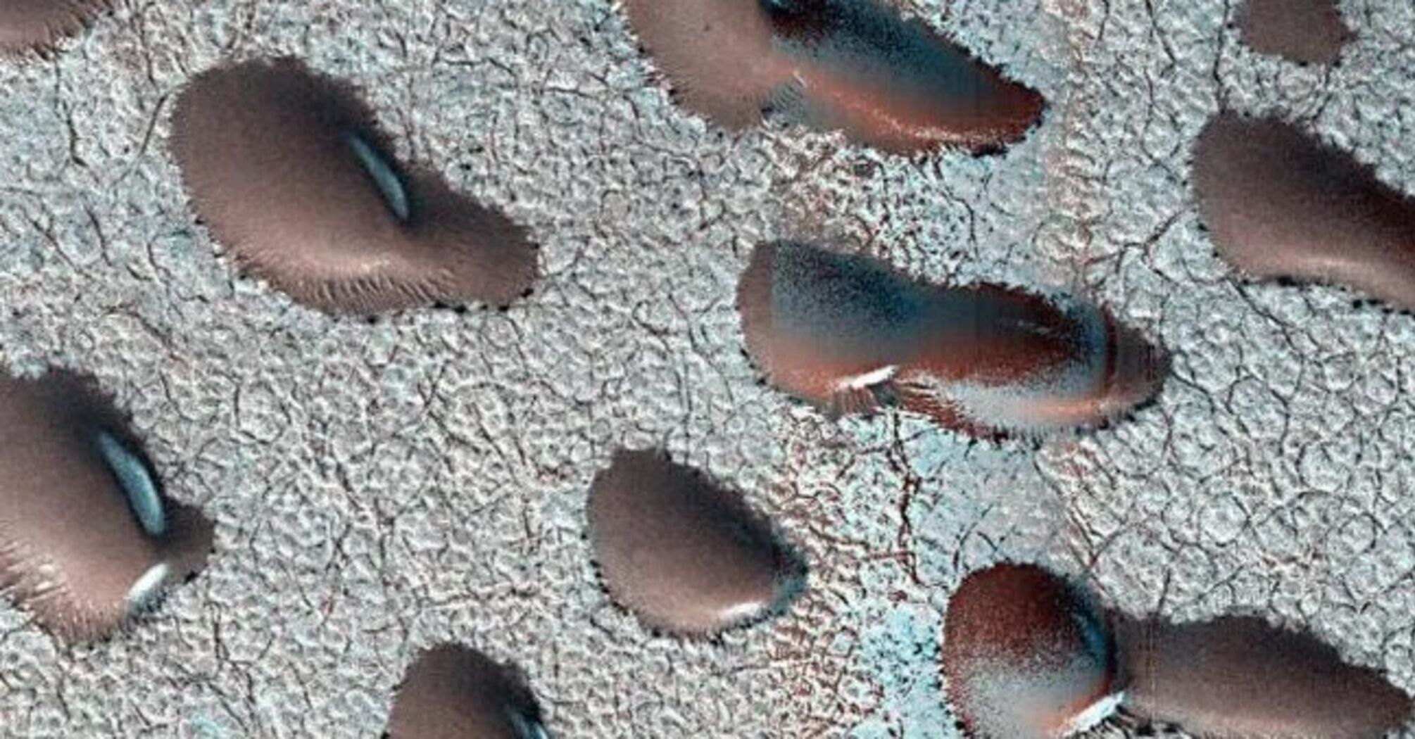 A giant 'bean,' that may indicate signs of life, has been spotted on Mars. Photo