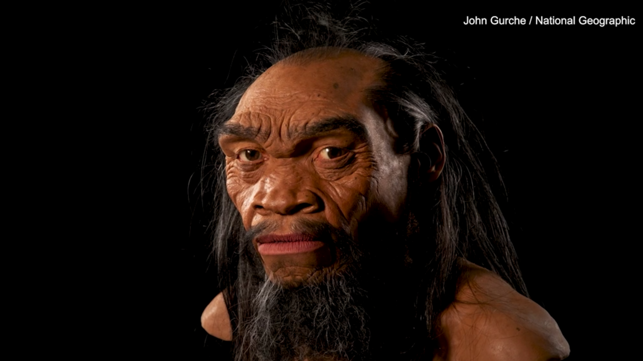 Scientists have reconstructed the face of a human ancestor that rewrites the history of our evolution. Photo