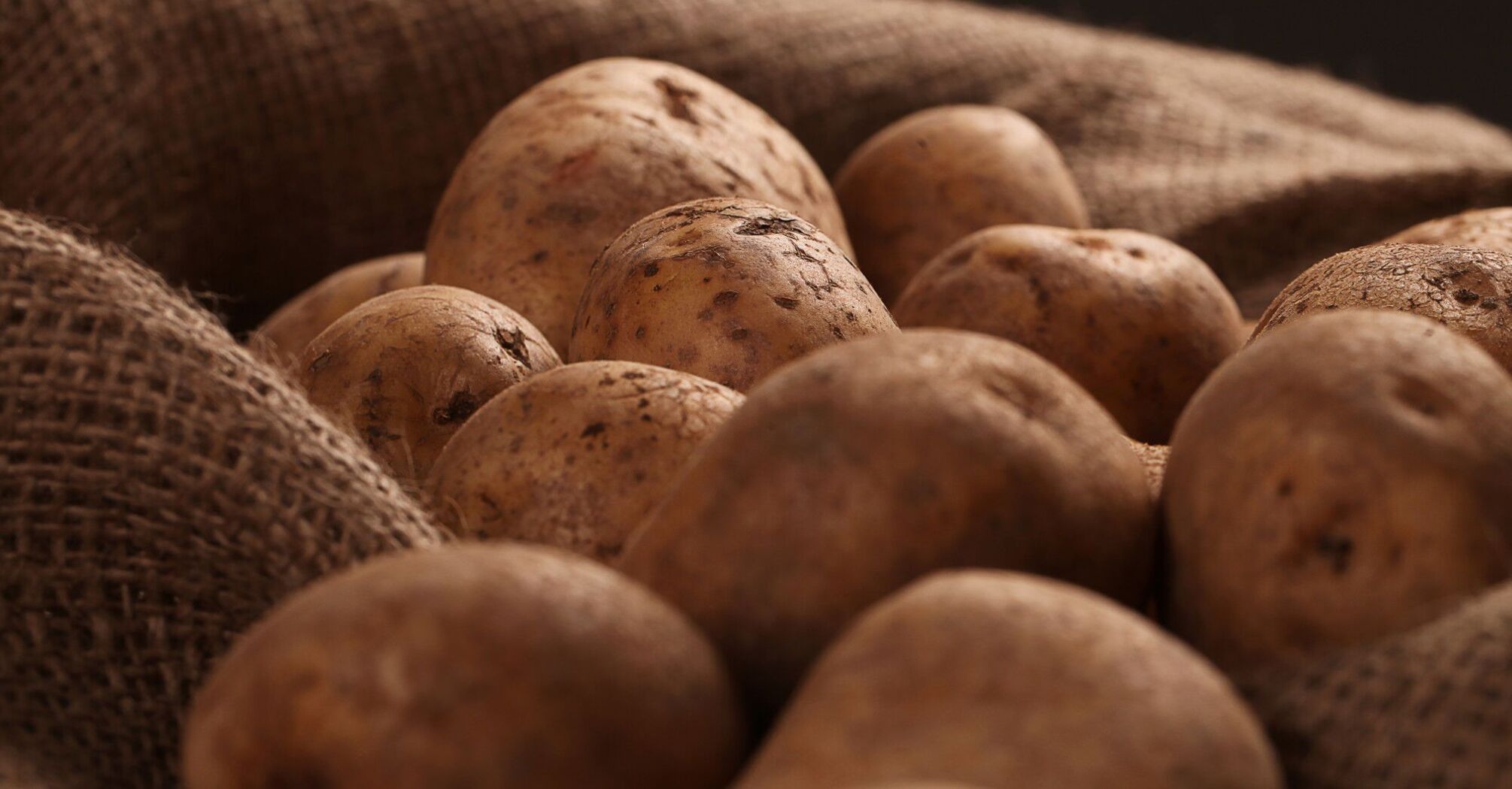 How to store potatoes for at least six months so that they do not grow and spoil