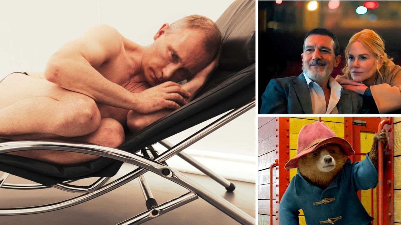 Putin, Nicole Kidman's Babygirl and new Paddington: what to see in cinema this week