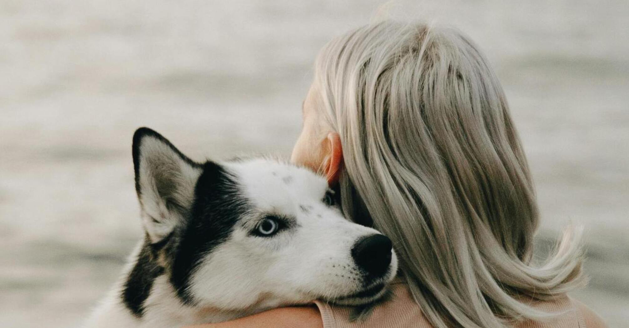 Man's best friend: touching movies about pets that make life brighter