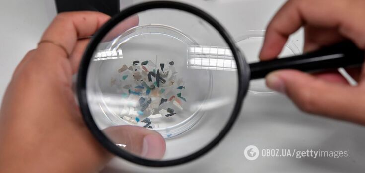 Beer, tea bags, and baby fruit purees. 10 foods high in microplastics that can cause cancer