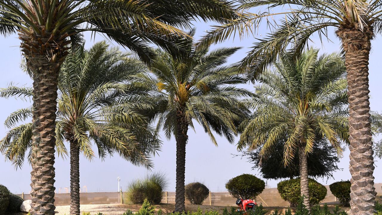 Compared to Dubai: the perfect place for a winter vacation is named