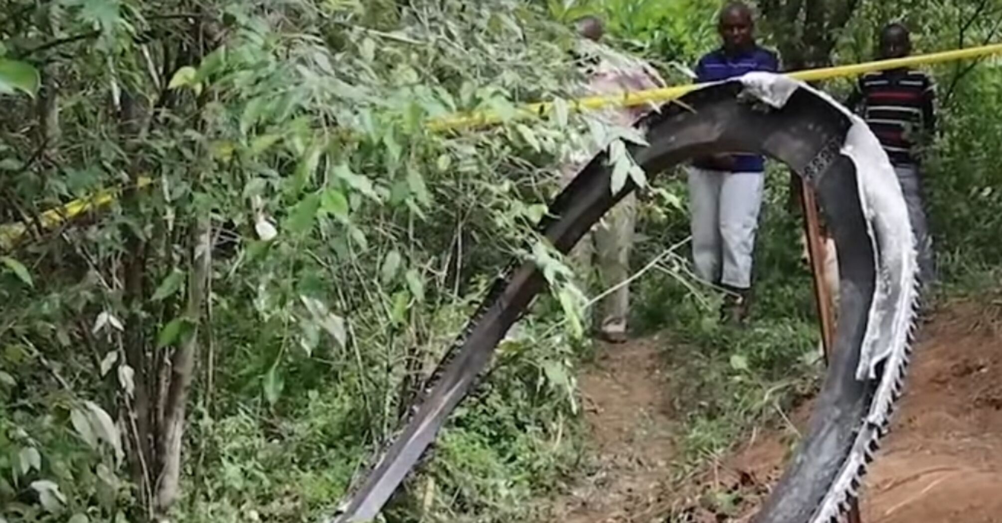 Space debris weighing more than 450 kg fell on a village in Kenya: impressive photos and videos