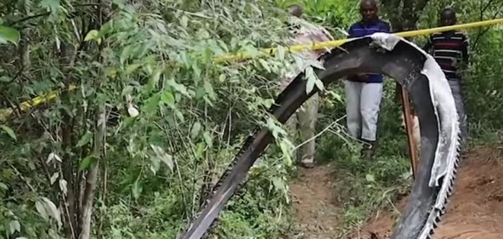 Space debris weighing more than 450 kg fell on a village in Kenya: impressive photos and videos