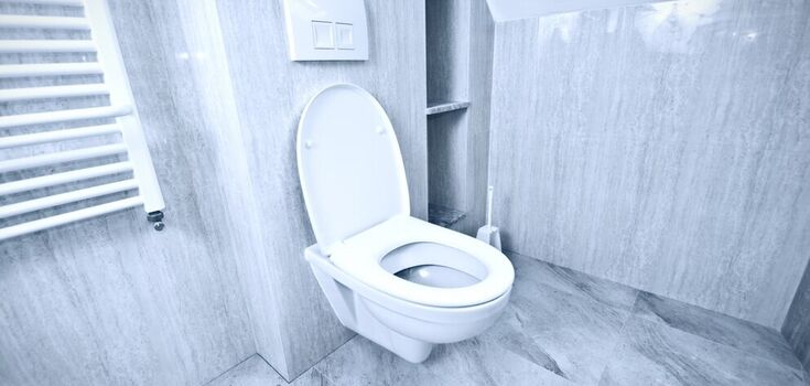 How to remove limescale from a toilet bowl in minutes: an effective method