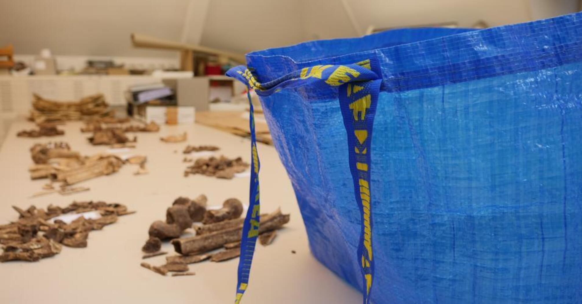 An IKEA bag with human bones was found in Germany: The 'victim' was 1500 years old