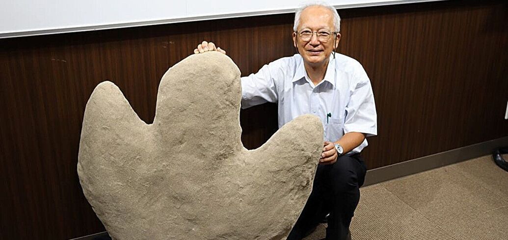 Huge footprints of a bipedal dinosaur were found in Moldova. Photo