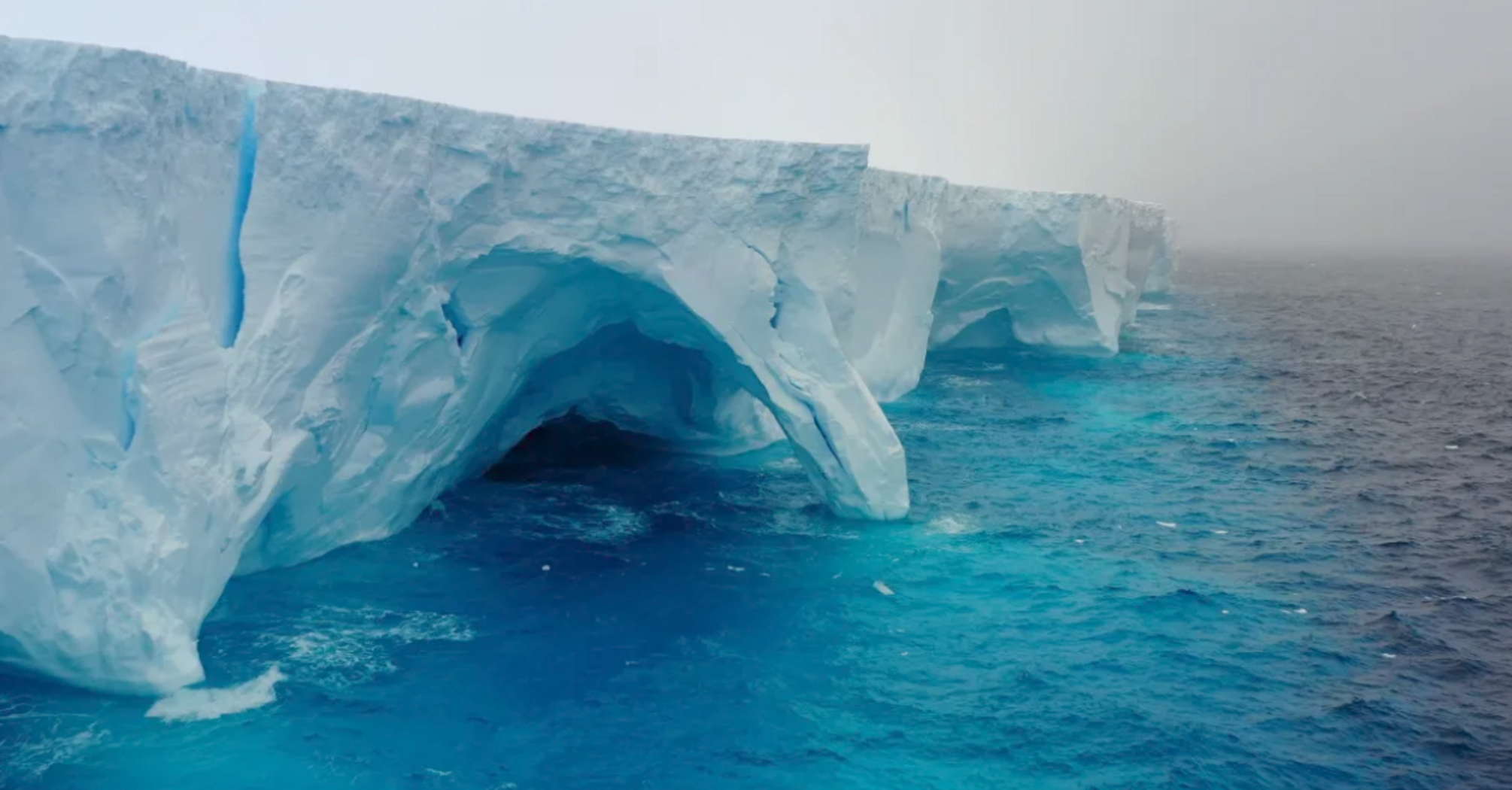 The world's largest iceberg is moving towards a remote South Atlantic island: thousands of penguins and seals are at risk