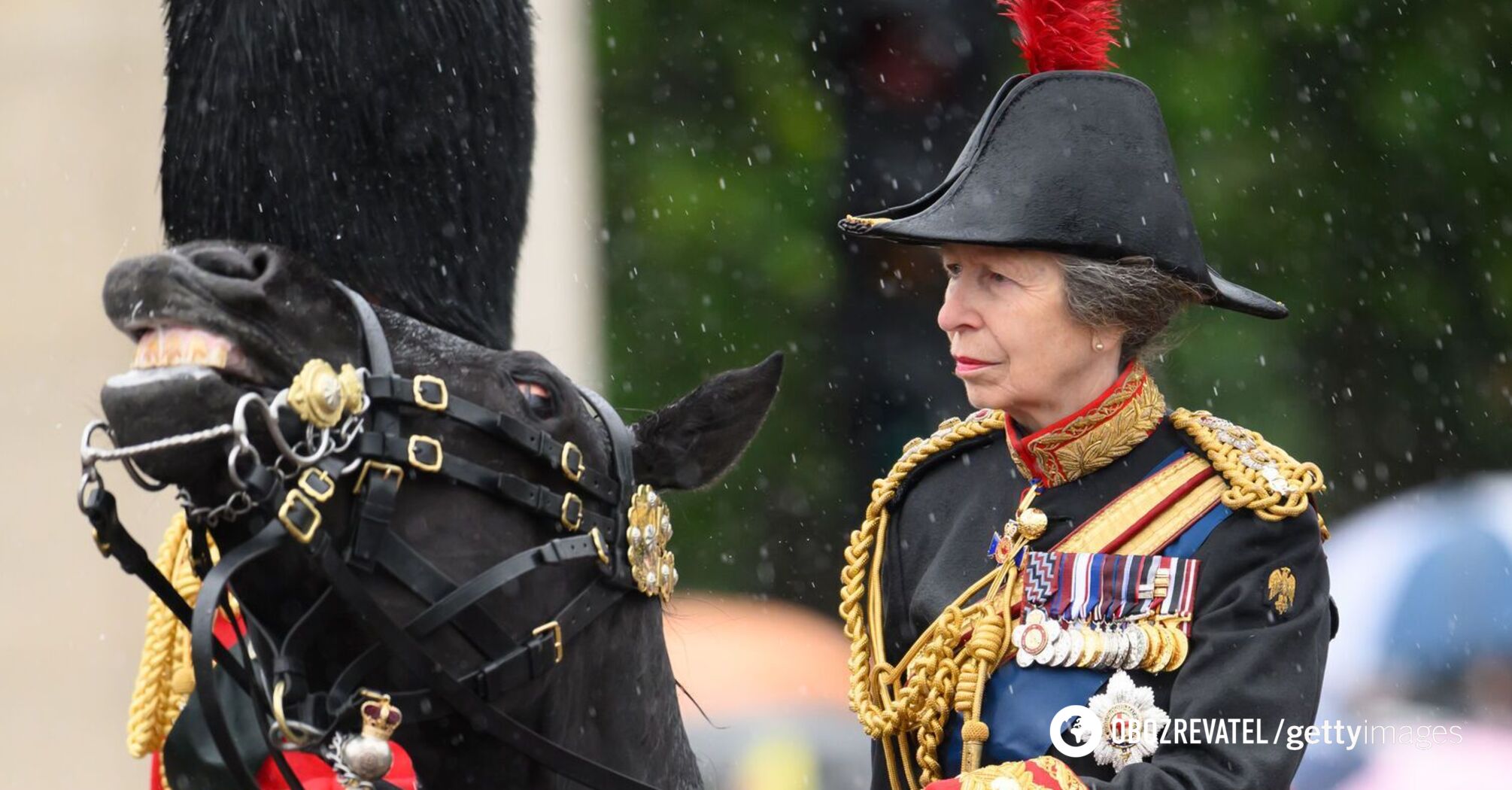 Princess Anne commented for the first time on the injury which led to her being hospitalized with a concussion: she doesn't remember anything