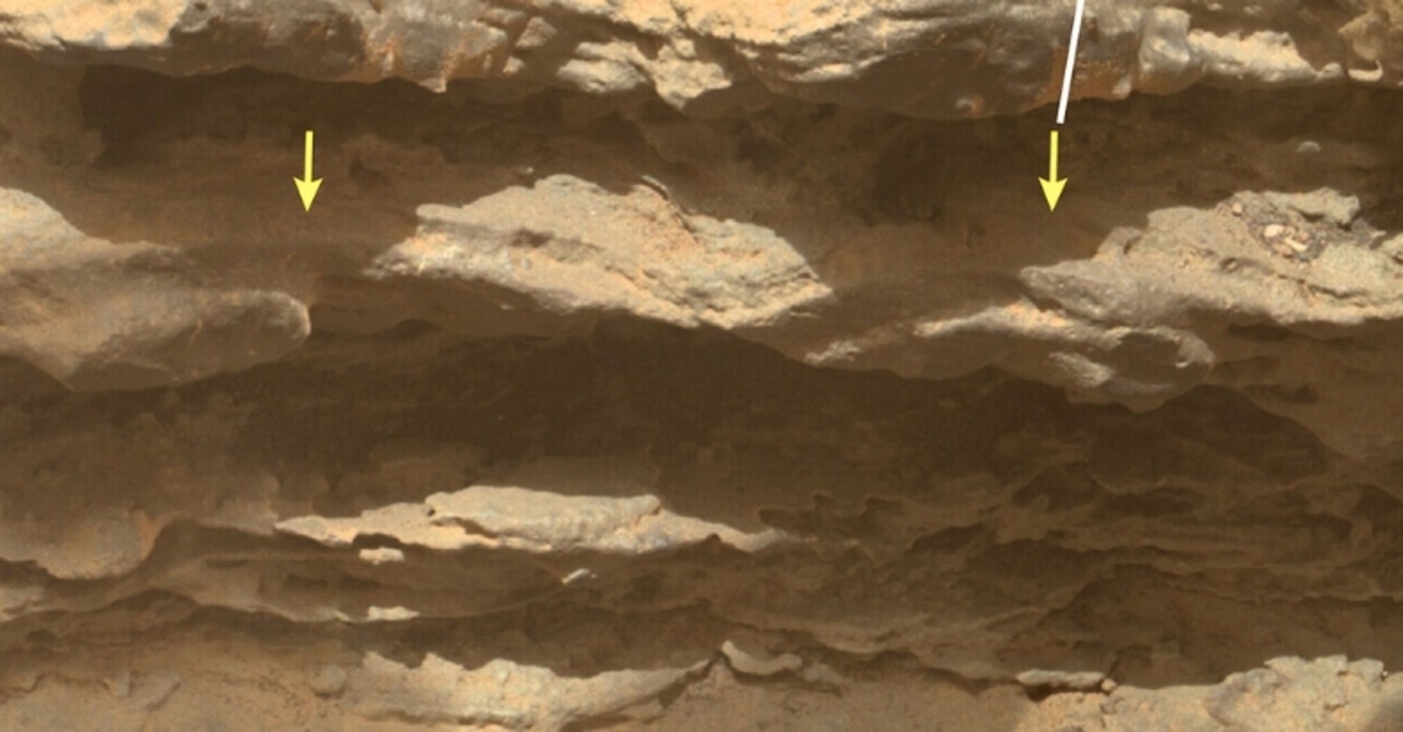 Not ice: NASA's rover finds evidence of open water bodies on Mars