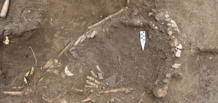A disturbing burial of a pregnant woman, sacrificed to an unknown deity, found in Ecuador