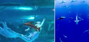 Gigantyczna ryba rzuca się na rosyjską syrenę podczas jej występu w Chinach. Wideo