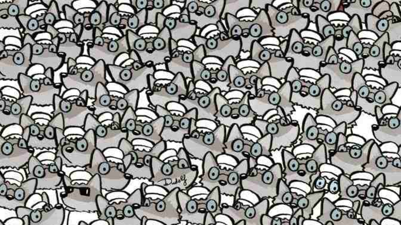 Find a grandma among the wolves: an interesting but challenging puzzle