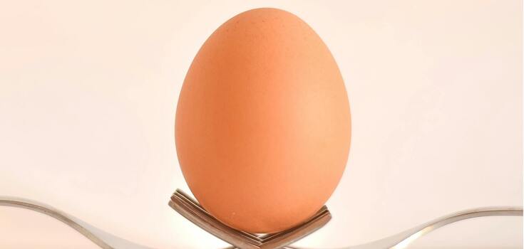 The best place for storing eggs in the fridge has been named