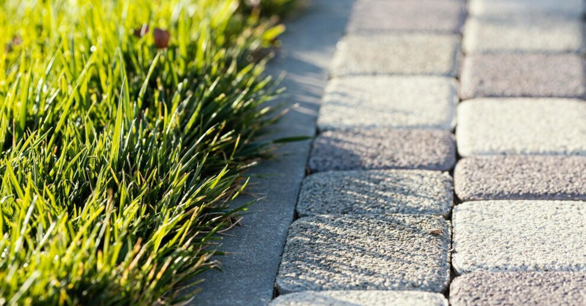 How to remove black stains on paving stones in the yard: an effective way