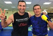 Volodymyr Klychko and Oleksandr Usyk