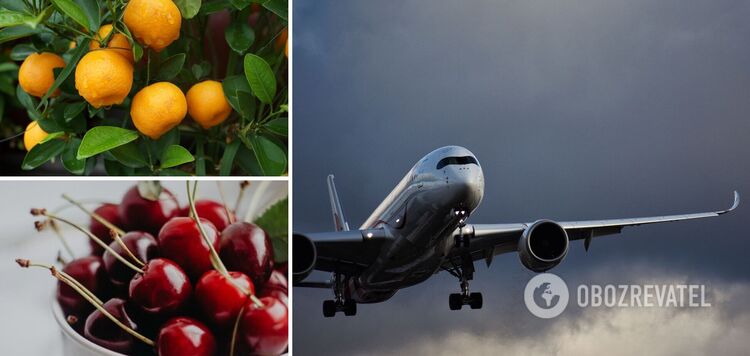 Produkty, które pomogą w zmianie strefy czasowej po podróży samolotem