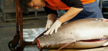 Sieć restauracji wyróżnionych gwiazdką Michelin kupuje 276-kilogramowego tuńczyka za 1,3 miliona dolarów