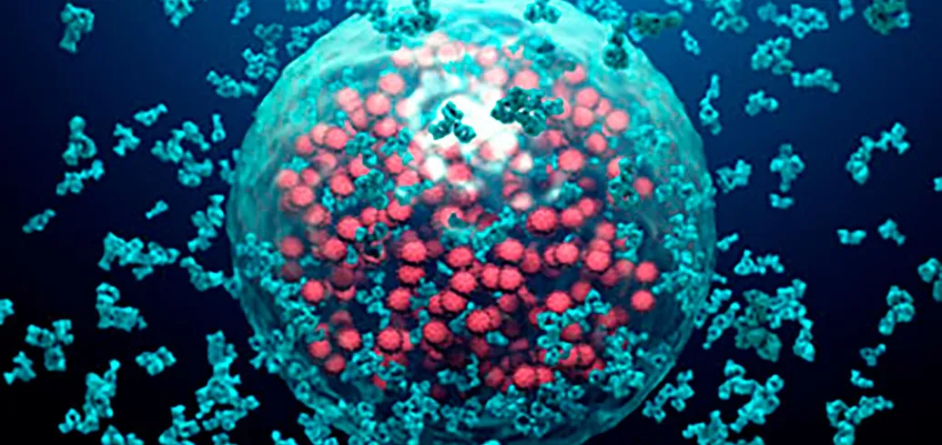 Знайдено "зомбі-клітини", які можуть провокувати розвиток діабету: про що дізналися вчені