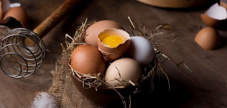 You always cook eggs wrong: the most common mistakes that spoil the product