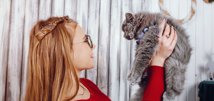 But don't show your teeth: a psychologist has revealed a simple trick for communicating with a cat