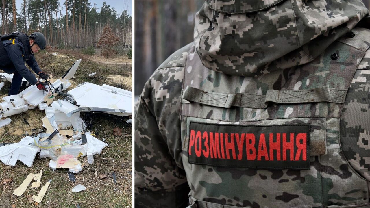 The wreckage of a Russian Gerbera UAV was found in one of the districts of Kyiv region. Details and photos