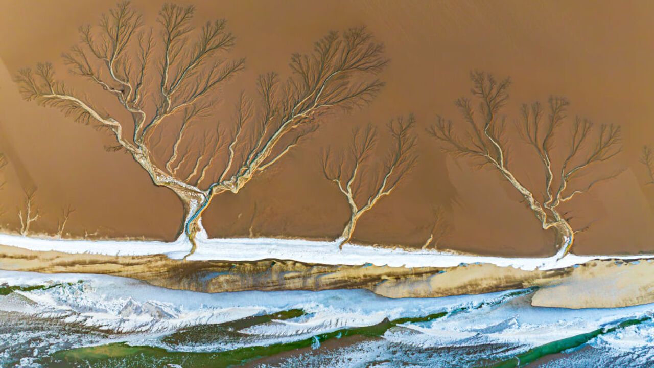 Giant "trees" formed on a frozen river in China: an incredible natural phenomenon was shown in a photo