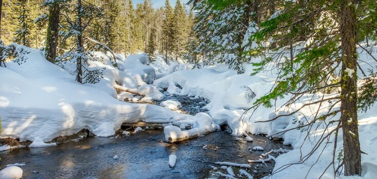 What holiday is celebrated on February 11: all about this day